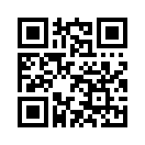 QR CODE 677