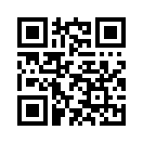 QR CODE 737