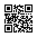 QR CODE 739