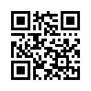 QR CODE 813