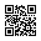 QR CODE 868