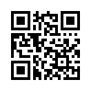 QR CODE 877