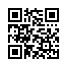 QR CODE 913