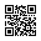 QR CODE 919