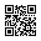 QR CODE 993