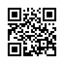 QR CODE 31