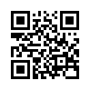 QR CODE 53