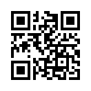 QR CODE 1179