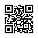 QR CODE 538