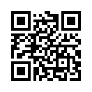 QR CODE 813