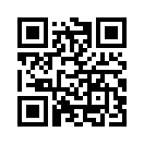 QR CODE 950