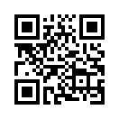 QR CODE 133