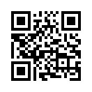 QR CODE 173