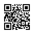 QR CODE 213