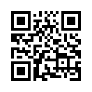QR CODE 228