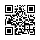 QR CODE 231