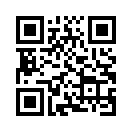 QR CODE 281