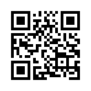 QR CODE 303