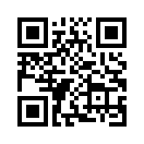 QR CODE 312