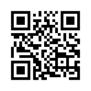 QR CODE 313