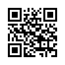 QR CODE 29