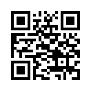 QR CODE 53