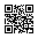 QR CODE 31