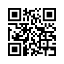 QR CODE 42