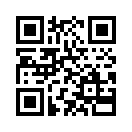 QR CODE 31