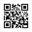 QR CODE 42
