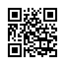 QR CODE 31