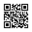 QR CODE 133