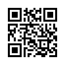 QR CODE 173
