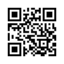 QR CODE 31