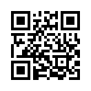 QR CODE 53
