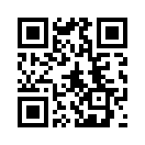 QR CODE 133