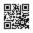 QR CODE 33