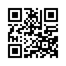 QR CODE 41