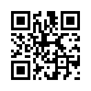QR CODE 42