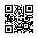 QR CODE 43