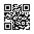 QR CODE 110