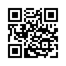 QR CODE 133