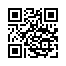 QR CODE 228