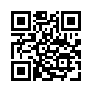 QR CODE 256