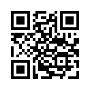 QR CODE 305