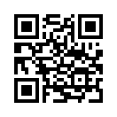 QR CODE 31