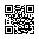 QR CODE 316