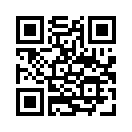 QR CODE 317