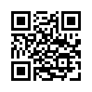 QR CODE 329