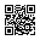 QR CODE 336